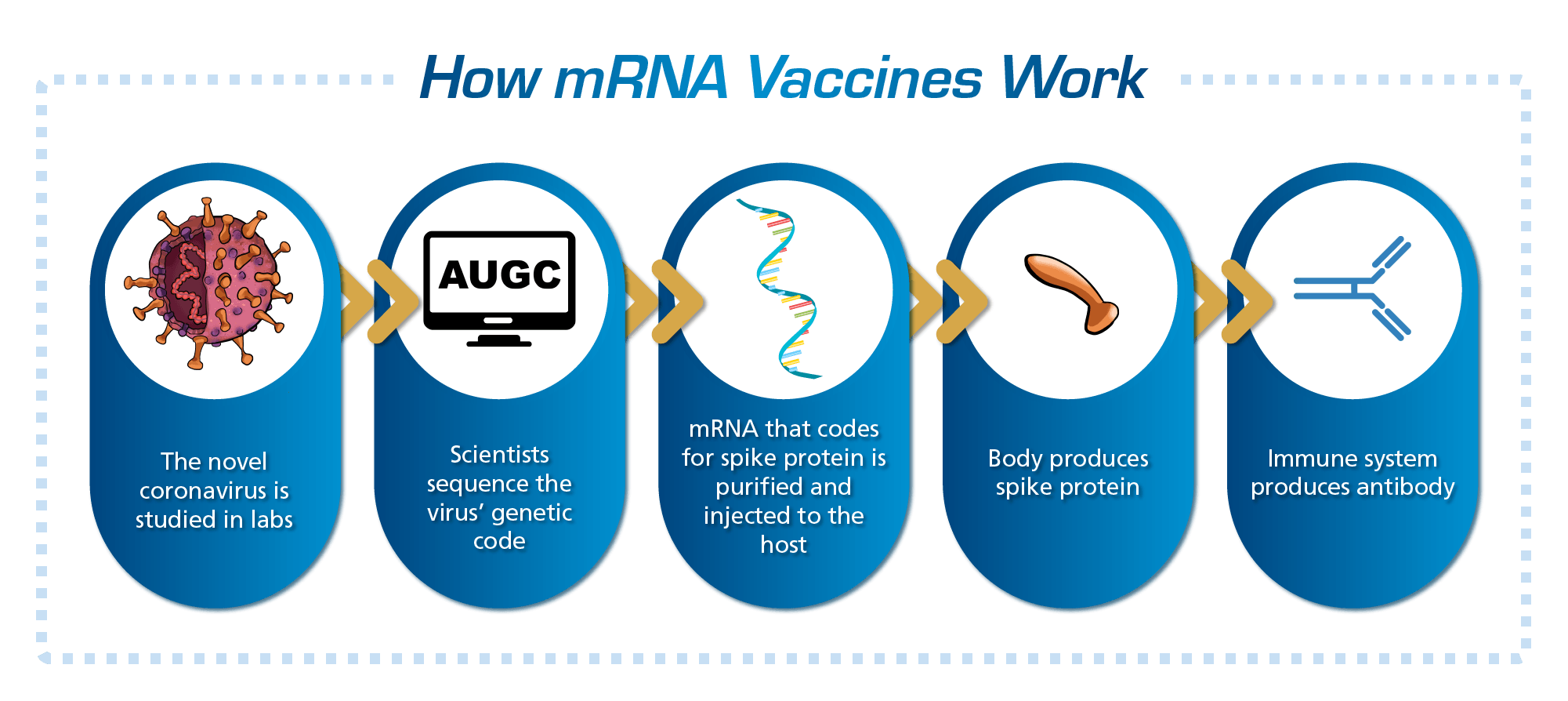 Figure 1.How mRNA Vaccines Work