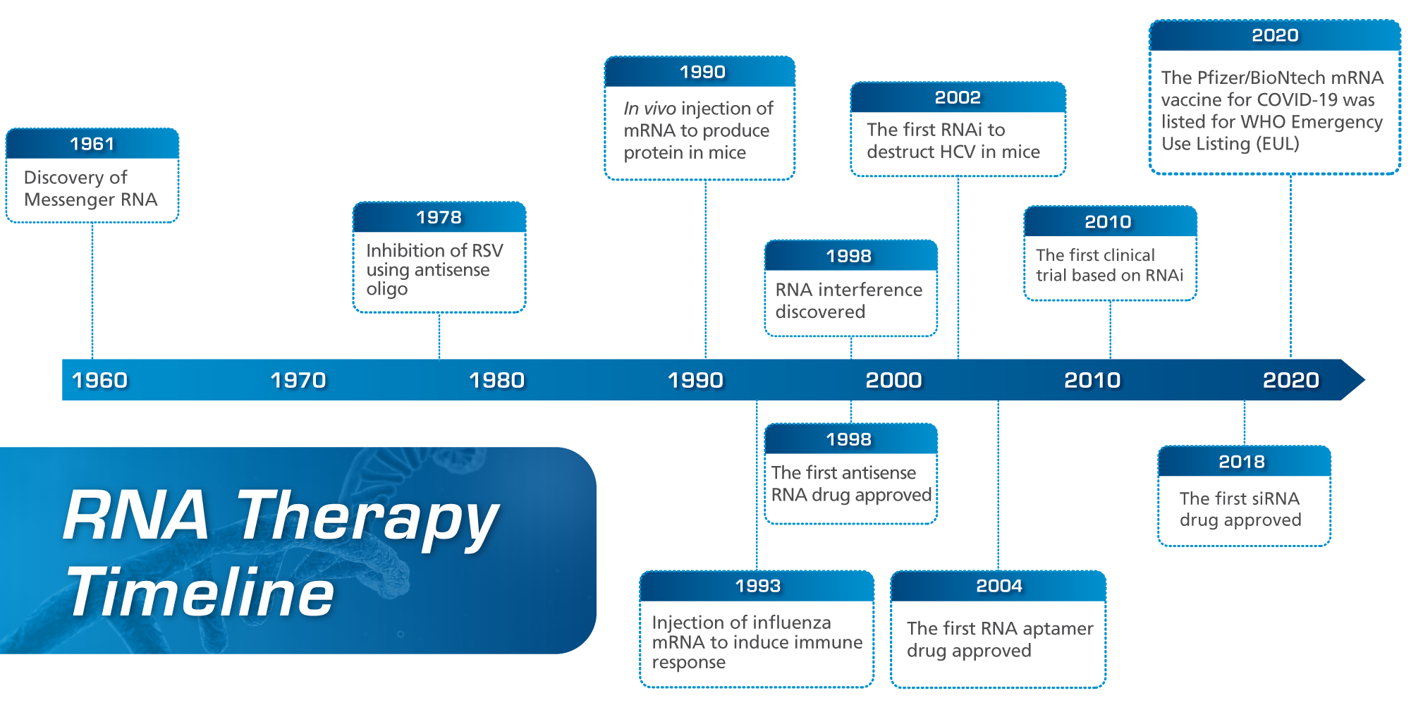 Figure 2.Timeline of Key Discoveries in RNA Therapy