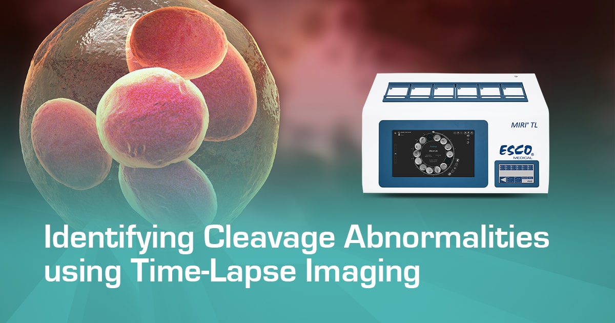 Identifying Cleavage Abnormalities using Time-Lapse Imaging